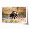 Buffalo wall art print showcasing a detailed bison design, featuring earthy tones and intricate textures, perfect for wildlife enthusiasts and home decor.