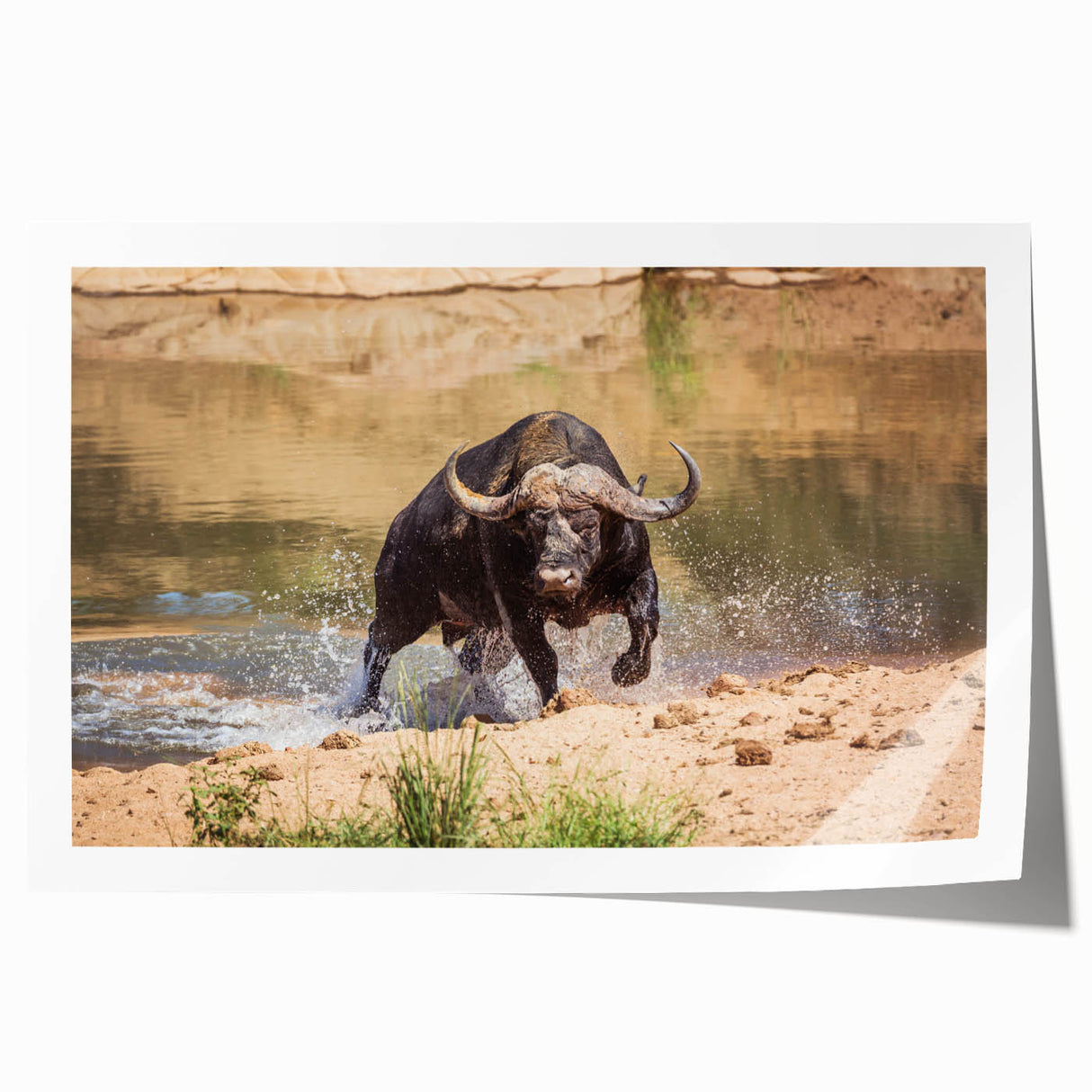 Buffalo wall art print showcasing a detailed bison design, featuring earthy tones and intricate textures, perfect for wildlife enthusiasts and home decor.