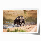 Buffalo wall art print showcasing a detailed bison design, featuring earthy tones and intricate textures, perfect for wildlife enthusiasts and home decor.