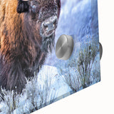 Close-up of a striking buffalo wall art design featuring intricate details and vibrant colors, showcasing the beauty of wildlife in acrylic glass. Perfect for animal lovers and home decor enthusiasts.