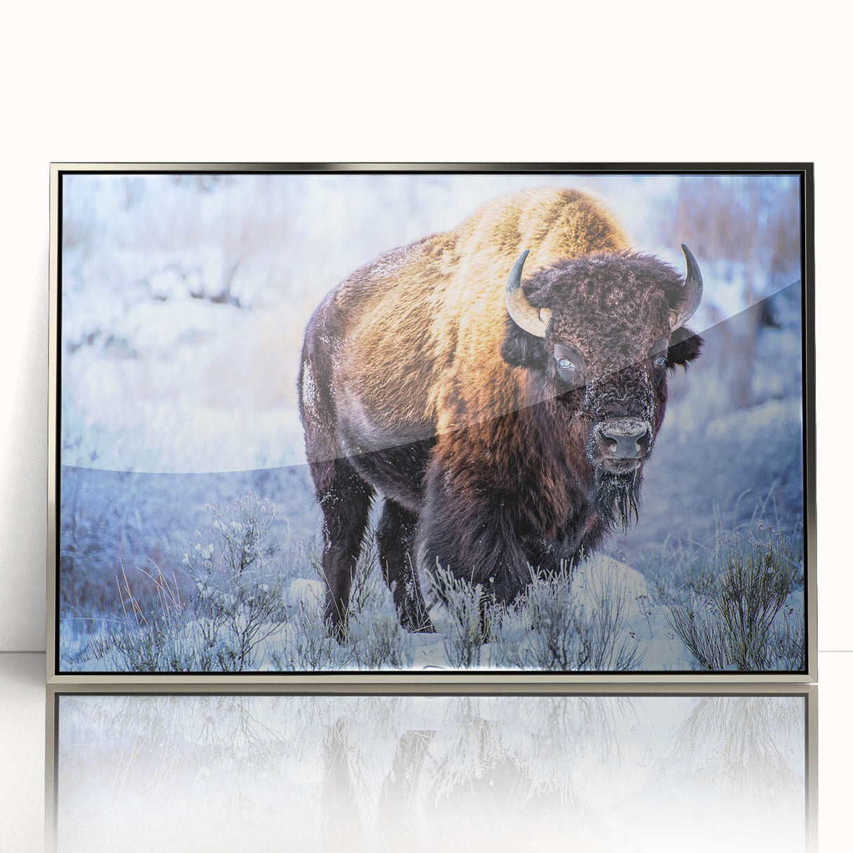 Framed acrylic wall art featuring a majestic buffalo design from the "Animals A Wild Life" collection, showcasing intricate details and vibrant colors, perfect for enhancing modern decor.