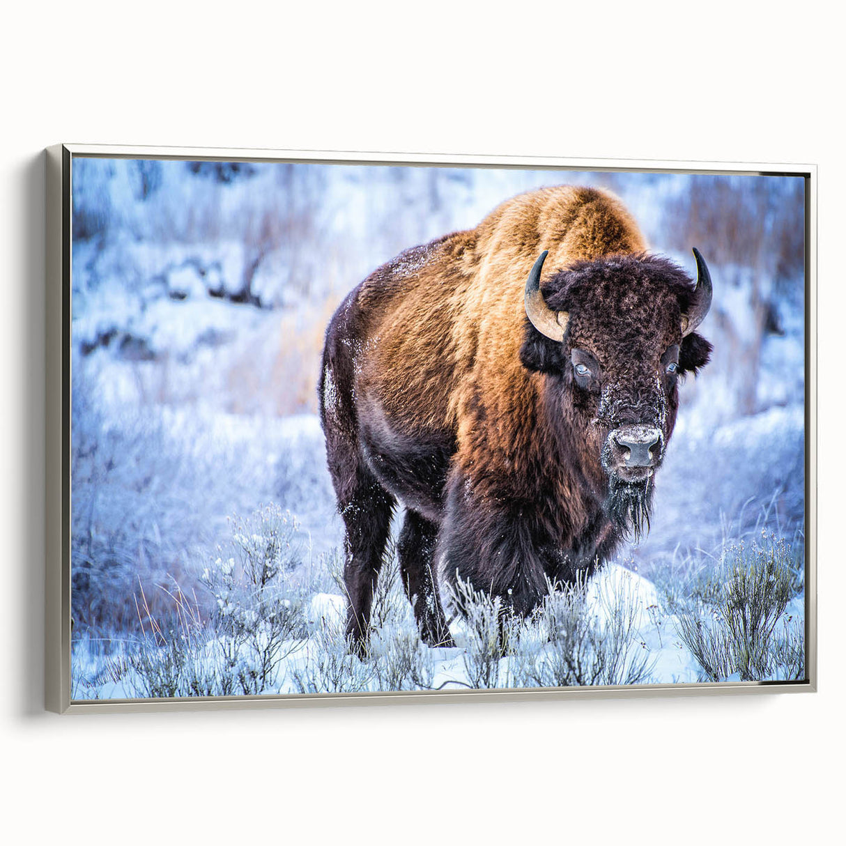 Framed canvas wall art showcasing a majestic bison in a natural setting, featuring intricate details and a silver frame, perfect for wildlife enthusiasts and home decor.