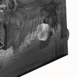 Close-up of a striking buffalo wall art design on acrylic glass, showcasing intricate details and vibrant colors, perfect for wildlife-themed decor. Ideal for animal lovers and art enthusiasts alike.