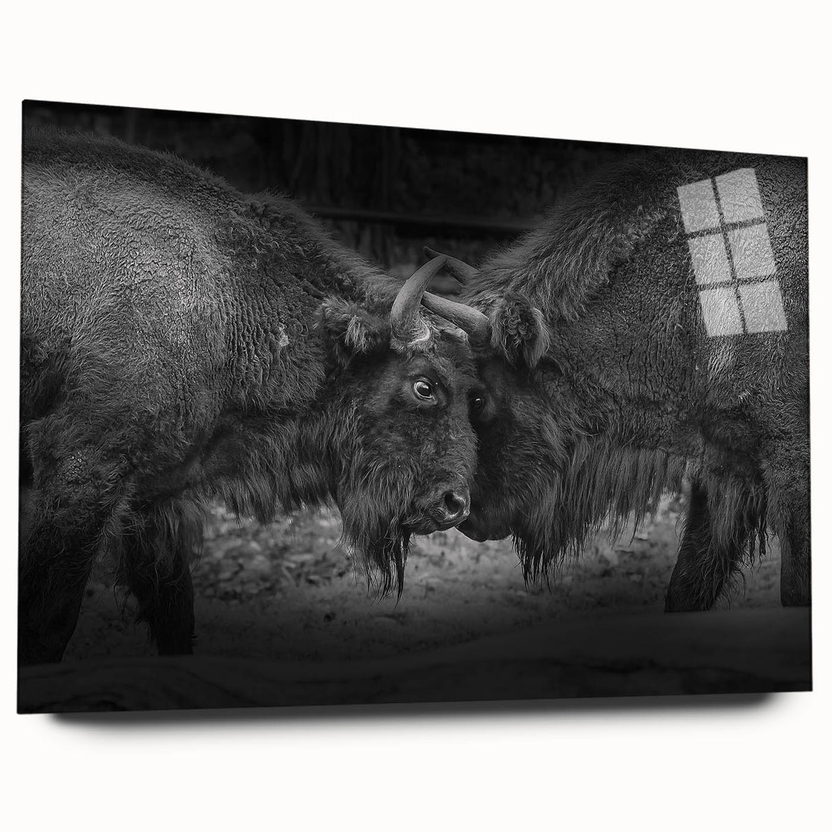Side view of a striking acrylic glass wall art piece featuring a detailed bison design, showcasing rich colors and textures, perfect for wildlife enthusiasts.