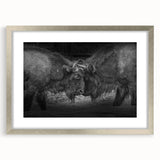 Framed wall art featuring a striking silver mat design showcasing a majestic buffalo, perfect for wildlife enthusiasts and interior decor. Ideal for adding a touch of nature to any room.