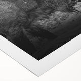 Rolled canvas showcasing a stunning wildlife buffalo design in a bison motif, ideal for nature enthusiasts, presented in a protective cardboard tube.