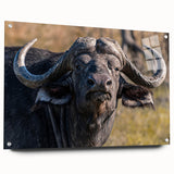 Side view of a bison wall art design in acrylic glass, showcasing a vibrant wildlife theme with intricate details, perfect for adding a natural touch to home decor.