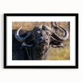 Framed wall art showcasing a striking black buffalo design, featuring intricate detailing and a modern matte finish, perfect for adding a touch of wildlife elegance to home decor.