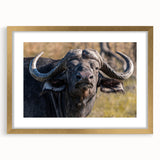 Buffalo wall art design framed in gold, showcasing a vibrant bison illustration with intricate details, ideal for wildlife enthusiasts and modern decor.