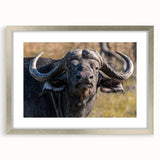 Framed wall art showcasing a striking silver mat around a vivid bison design, perfect for wildlife enthusiasts and home decor lovers, enhancing any space's aesthetic.