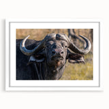Framed wall art featuring a majestic buffalo design, showcasing intricate details and a white mat, perfect for enhancing any wildlife-themed decor.