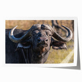 Buffalo wall art print showcasing a stylized bison design, featuring vivid colors and intricate details, ideal for home decor or wildlife enthusiasts. This rolled canvas print is perfect for adding a touch of nature-inspired elegance to any space.