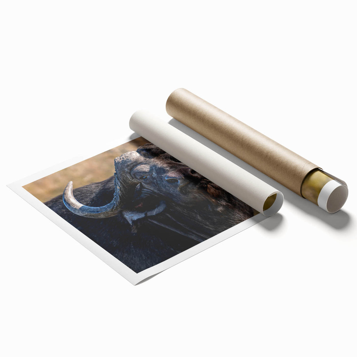 Rolled art print showcasing a vibrant buffalo design in a wild landscape, featuring earthy tones and intricate details, ideal for enhancing home decor.