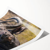 Buffalo wall art print showcasing a striking bison design with rich textures, ideal for wildlife decor enthusiasts, rolled in protective packaging.