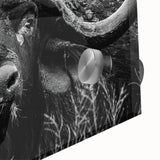 Close-up of a striking acrylic glass wall art piece showcasing a wild buffalo in a natural setting, highlighting its detailed fur and majestic horns, ideal for animal lovers and home décor enthusiasts.