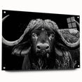 Side view of a sleek acrylic glass wall art piece featuring a bold buffalo design, showcasing vibrant colors and intricate details, perfect for wildlife enthusiasts.