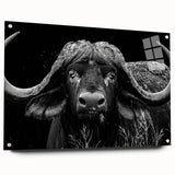 Side view of a sleek acrylic glass wall art piece featuring a bold buffalo design, showcasing vibrant colors and intricate details, perfect for wildlife enthusiasts.
