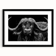 Black-framed wall art showcasing a majestic buffalo in a detailed wildlife design, perfect for enhancing home decor with nature-inspired elegance.