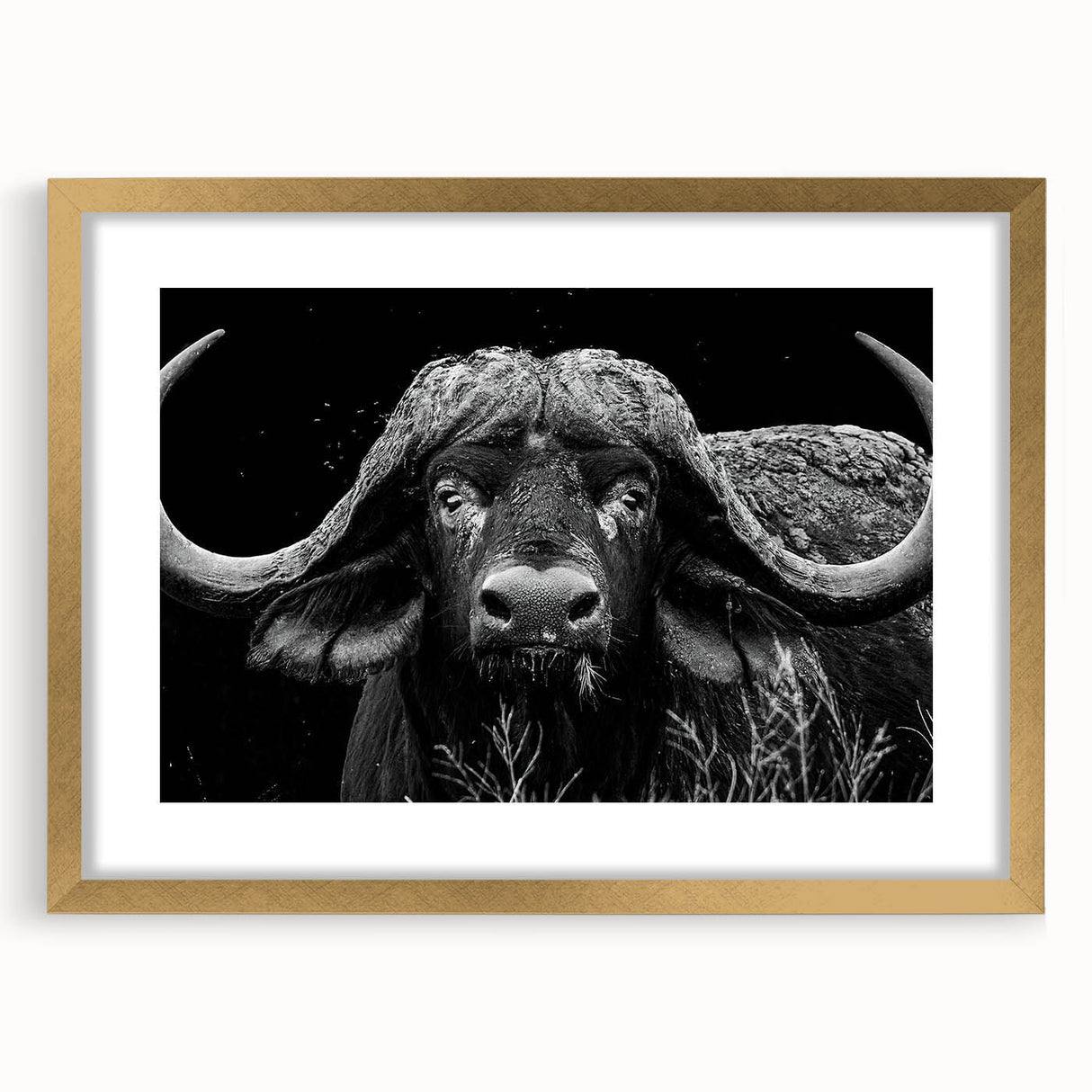 Wall art design featuring a majestic buffalo against a natural landscape, framed in gold with a mat, perfect for wildlife enthusiasts and home decor lovers. The intricate details highlight the buffalo's strength and beauty, making it an ideal piece for enhancing living spaces.