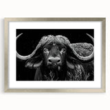 Framed wall art collection showcasing a striking silver mat design featuring a buffalo silhouette, perfect for wildlife enthusiasts and modern decor.