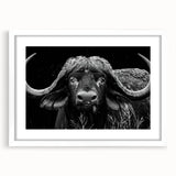 Framed wall art showcasing a majestic buffalo design in a minimalist white mat, perfect for wildlife enthusiasts and modern decor. Ideal for adding natural elegance to any space.