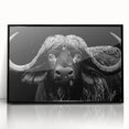 Framed wall art featuring a striking black buffalo design on acrylic, showcasing intricate details and a modern aesthetic, perfect for wildlife enthusiasts.