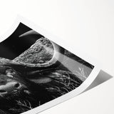 Buffalo wall art print showcasing a striking bison design against a nature-inspired background, ideal for wildlife enthusiasts and home decor accents. The rolled canvas is perfect for framing and adds a touch of the wild to any interior space.