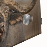Close-up of a stunning acrylic glass wall art piece showcasing a detailed buffalo design, highlighting the intricate textures and vibrant colors in a wildlife theme, perfect for nature lovers.