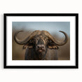 Framed wall art print showcasing a striking black and white design of a buffalo, part of the 'A Bisson Design' collection, perfect for wildlife enthusiasts and modern decor.