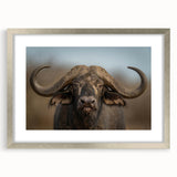 Framed wall art featuring a majestic buffalo design in a silver frame with a mat, ideal for wildlife enthusiasts and home decor lovers. The artwork captures the beauty of nature, showcasing intricate details and rich colors that enhance any living space.