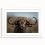 Framed wall art showcasing a majestic bison in a natural setting, featuring a sleek white mat and modern design, perfect for wildlife enthusiasts and home decor.