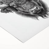 Buffalo wall art design on rolled canvas showcasing vibrant colors and intricate details, perfect for nature lovers and home decor enthusiasts. Ideal for adding a wild touch to any interior space.