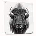 Acrylic glass wall art featuring a side view of a majestic buffalo, showcasing intricate bison design details against a vibrant background, perfect for wildlife enthusiasts.