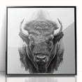 Framed acrylic wall art featuring a striking black and white buffalo design, showcasing intricate details and textures, perfect for wildlife enthusiasts and modern decor.
