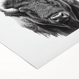 Buffalo wall art canvas print showcasing a stunning bison design, perfect for wildlife enthusiasts, emphasizing intricate details and vibrant colors. Ideal for home decor.