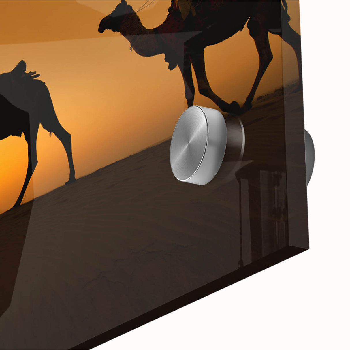 Close-up of a stunning acrylic wall art piece featuring a detailed camel design, showcasing vibrant colors and intricate textures, ideal for wildlife enthusiasts.