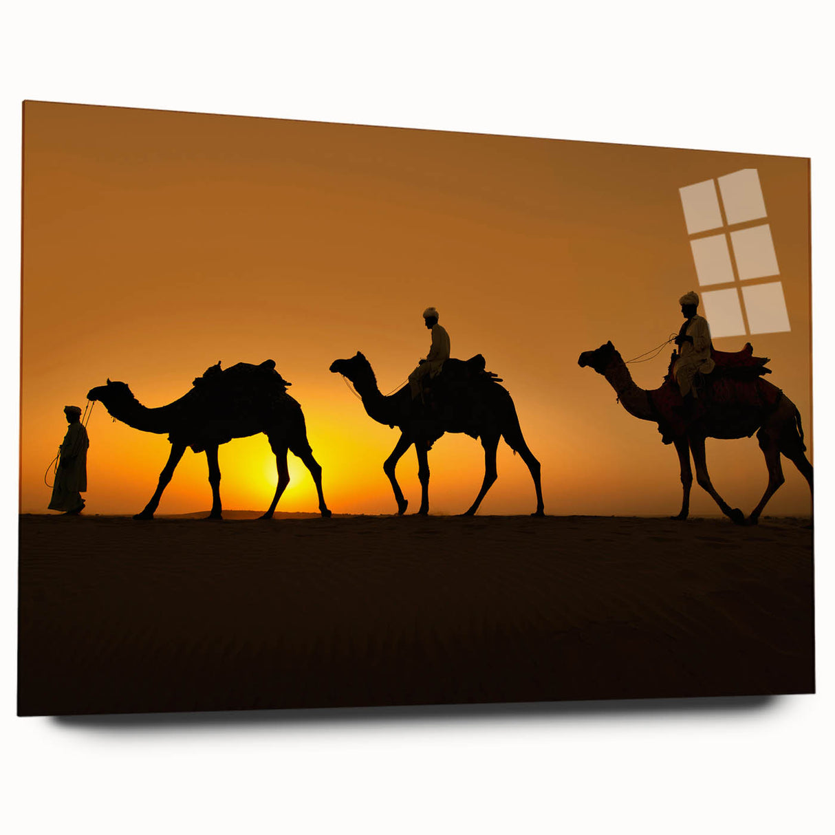 Side view of a vibrant acrylic wall art piece depicting a stylized camel design, showcasing intricate details and bold colors, perfect for wildlife enthusiasts.