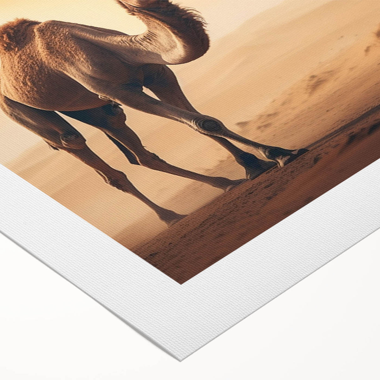 Rolled canvas showcasing a vibrant camel design from the Animals A Wild Life collection, ideal for enhancing home decor with its colorful, artistic flair.
