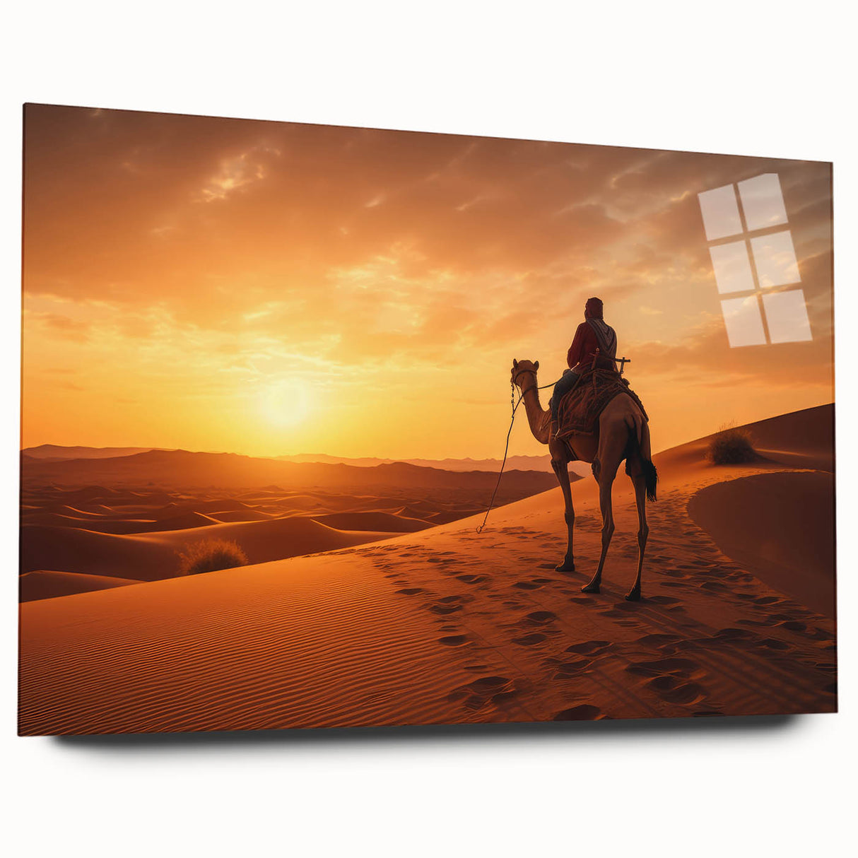 Acrylic glass wall art featuring a side view of a camel in a desert landscape, showcasing vibrant colors and intricate details, perfect for wildlife enthusiasts.
