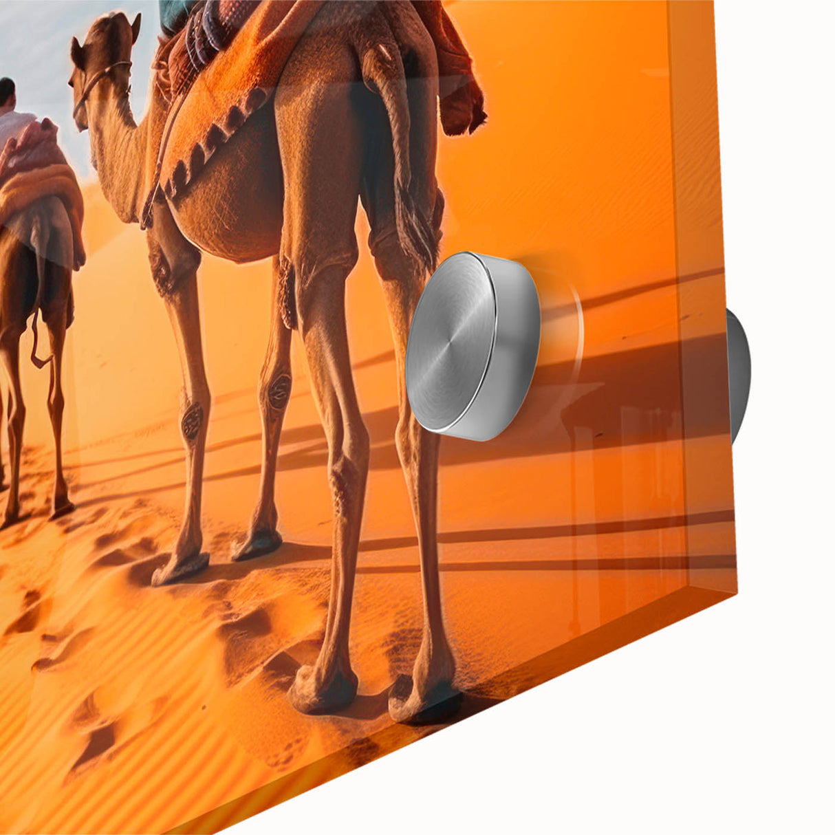 Close-up of a vibrant acrylic glass wall art piece featuring a realistic camel design, showcasing intricate details and textures, ideal for animal and nature enthusiasts.