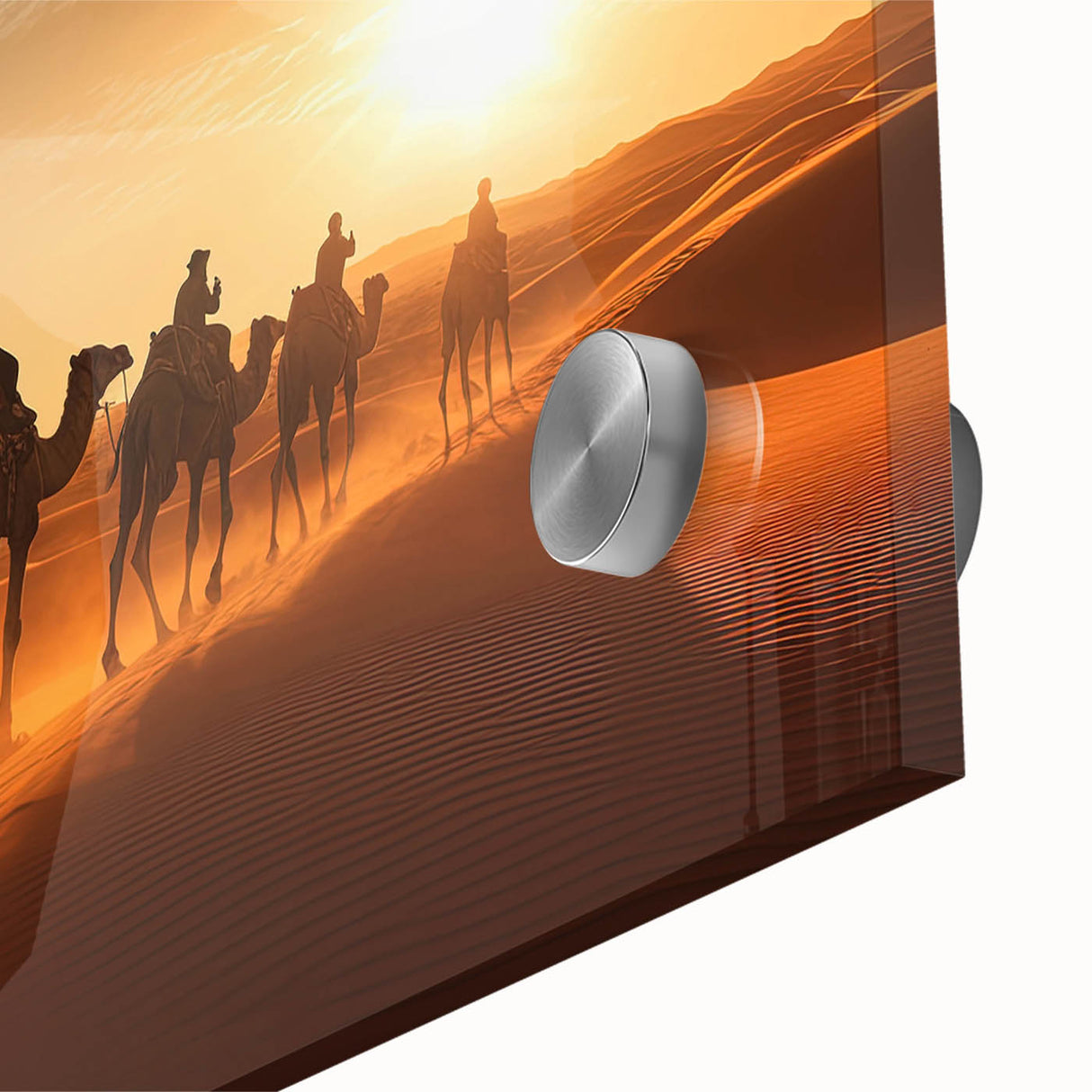 Close-up of a vibrant acrylic glass wall art piece featuring a detailed camel design, showcasing intricate textures and colors, ideal for wildlife decor enthusiasts.