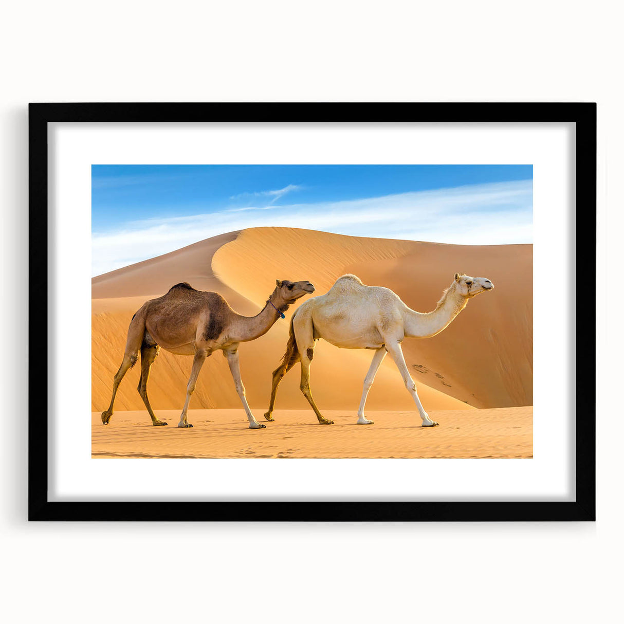 Framed wall art featuring a beautifully designed camel illustration, set against a matte black background, perfect for enhancing home décor with a touch of wildlife elegance. This piece combines artistic flair with a modern aesthetic, ideal for animal lovers and art enthusiasts alike.
