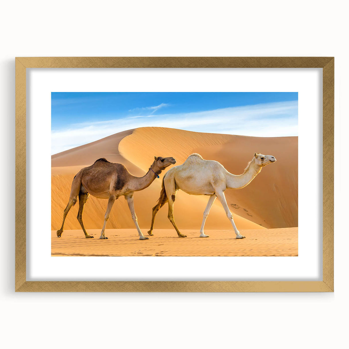 Camel wall art design framed in gold, showcasing a wild animal theme with intricate details, perfect for enhancing home decor and adding a touch of nature.