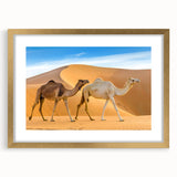 Camel wall art design framed in gold, showcasing a wild animal theme with intricate details, perfect for enhancing home decor and adding a touch of nature.