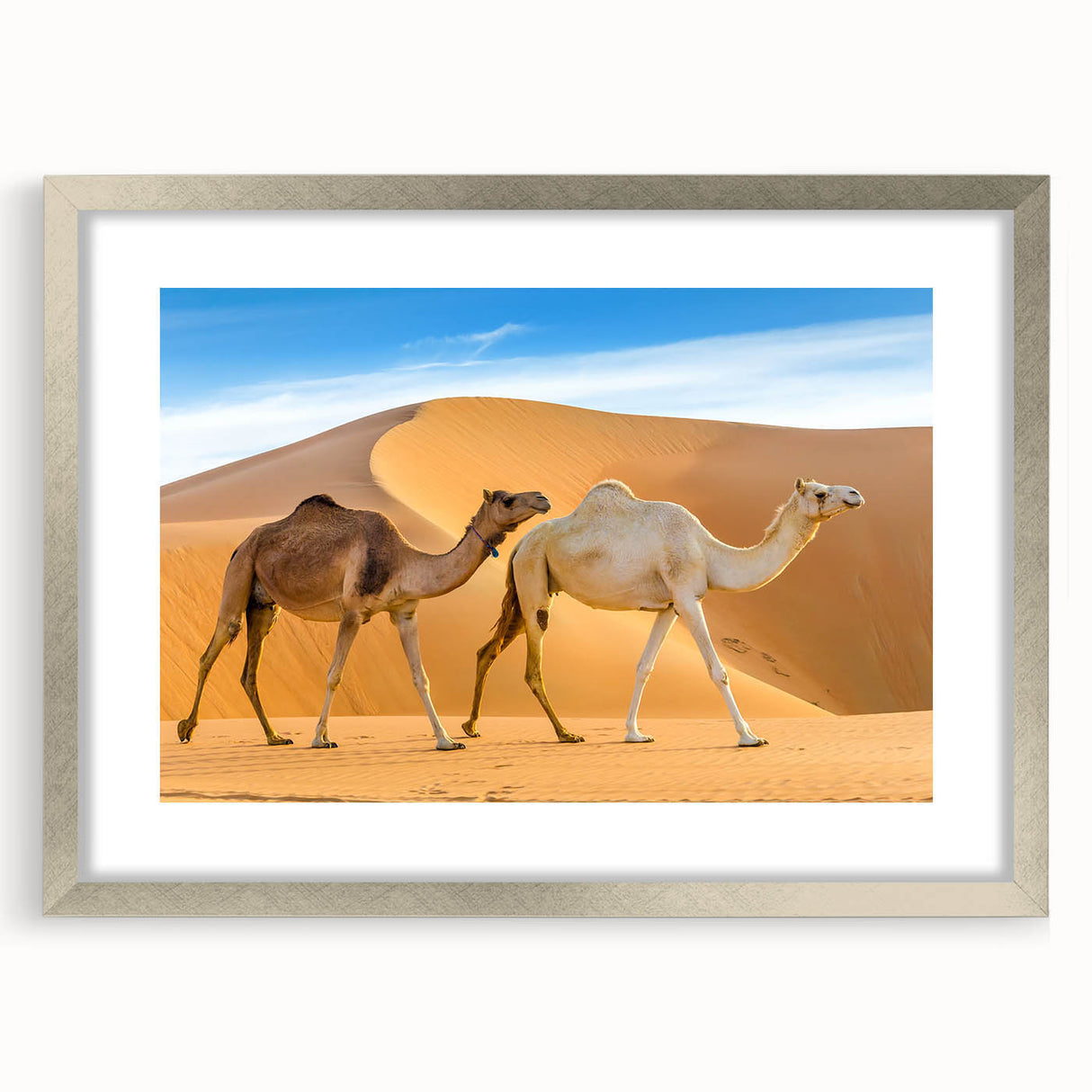 Framed wall art featuring a striking camel design in a silver frame with a mat, showcasing vibrant colors and intricate details, perfect for animal lovers and home decor enthusiasts.