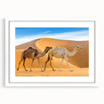 Framed wall art featuring a striking camel design from the "Animals a Wild Life" collection, set against a white mat, ideal for enhancing modern decor.