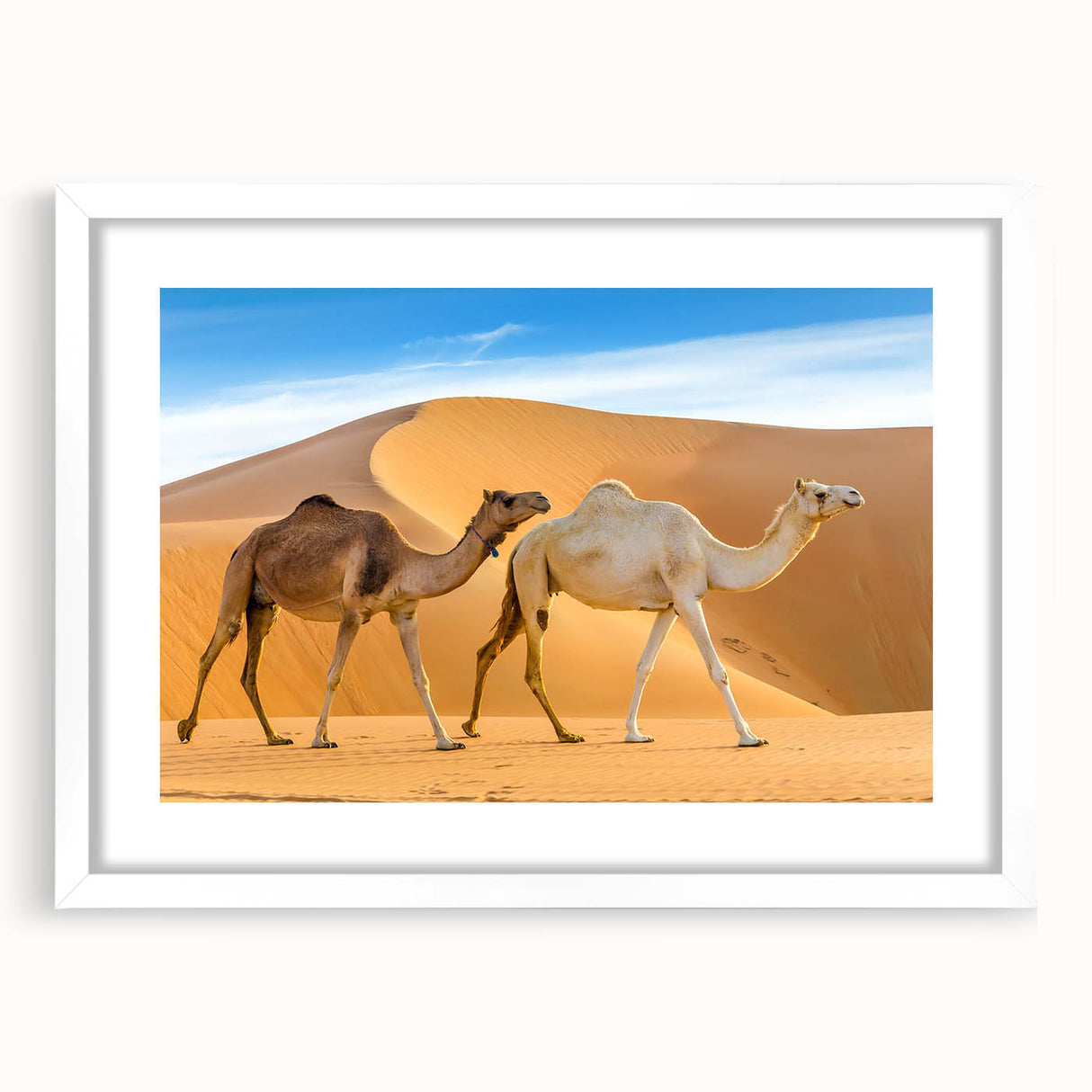 Framed wall art featuring a striking camel design from the "Animals a Wild Life" collection, set against a white mat, ideal for enhancing modern decor.