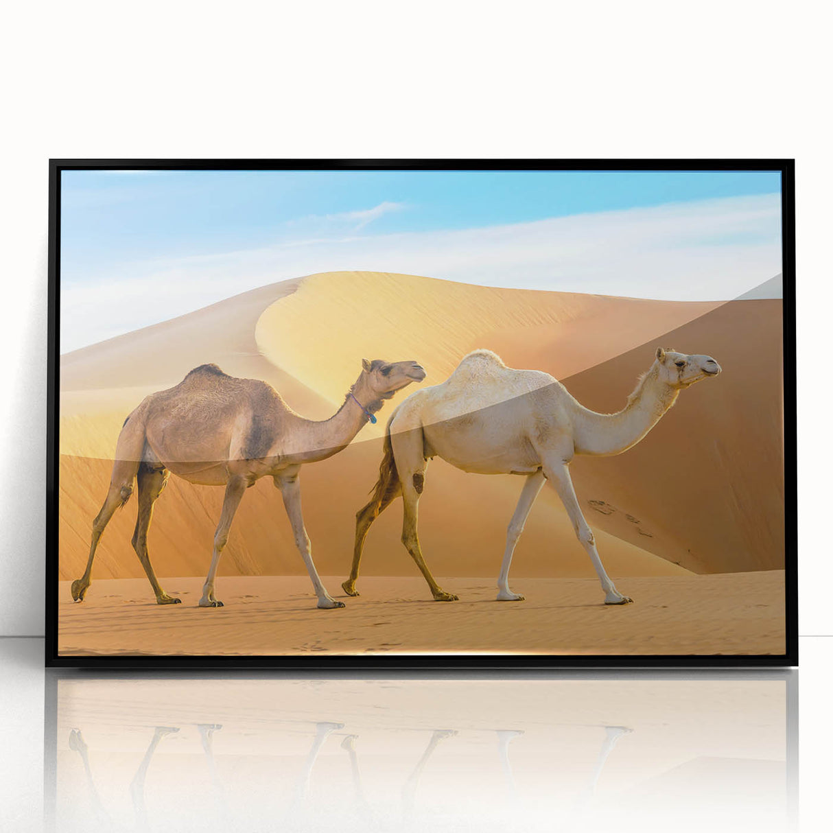 Framed acrylic wall art featuring a striking black camel design, showcasing intricate details and vibrant colors, perfect for enhancing any modern decor.