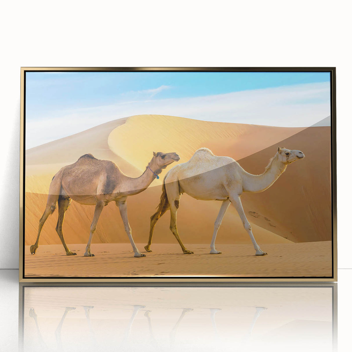 Framed acrylic wall art featuring a front view of a golden camel design, showcasing intricate details and vibrant colors, perfect for animal lovers and home decor enthusiasts.