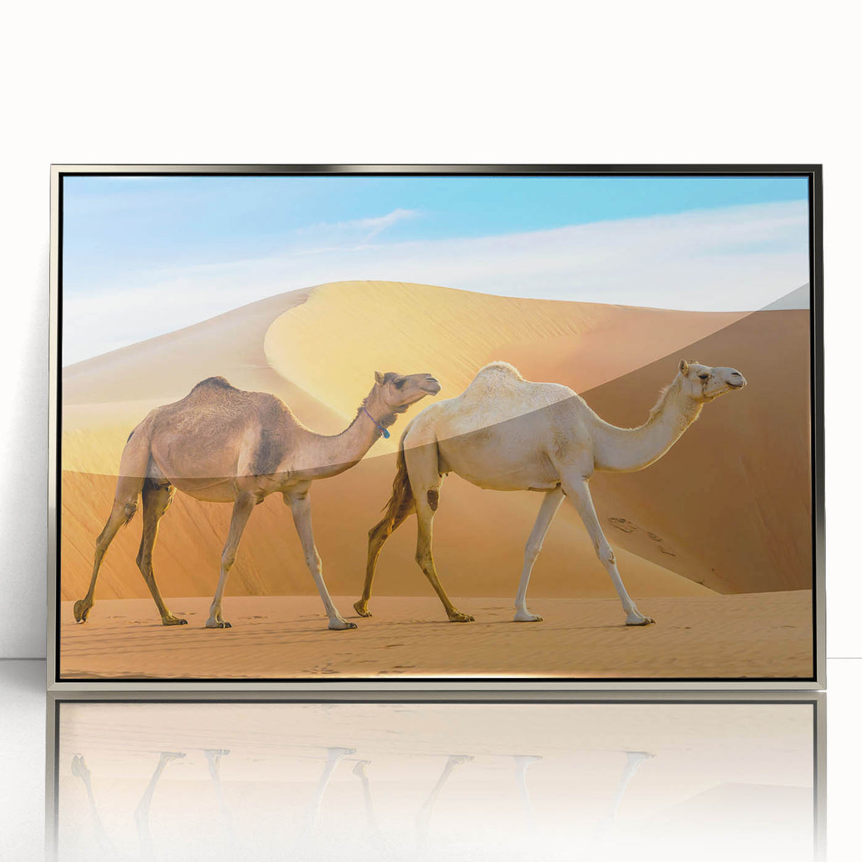 Framed acrylic wall art featuring a striking silver camel design from the 'Animals A Wild Life' collection, showcasing intricate details and modern aesthetics, perfect for contemporary decor.